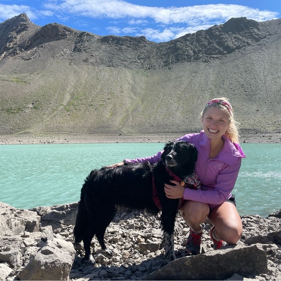 Meet your Posher, Bailey - Picture 2 of 3